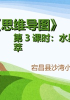 《思维导图》课程第3课时《水果大荟萃》 封面