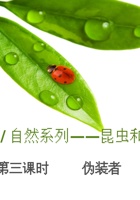 昆虫 第3课时 课程ppt 封面