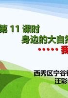 《身边的大自然》第11课时《我是谁》(汪彩虹） 封面
