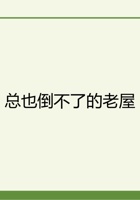 总也倒不了的老屋 封面