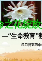 生命教育—主题班会 封面