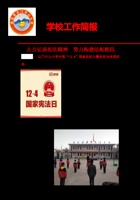 28石小12.4宪法宣传周简报 封面