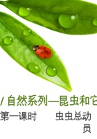 《艺术生活》昆虫篇第一课时 封面